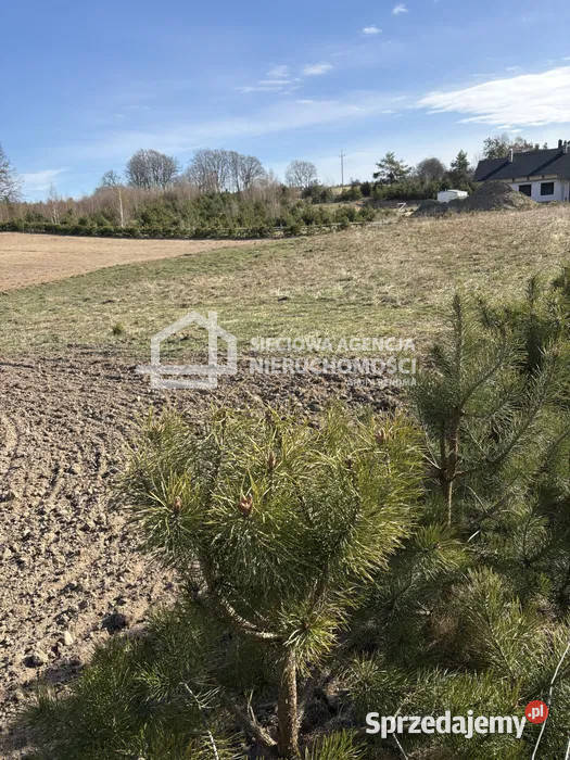 Grunt na sprzedaż Grabowiec 1009m2 Sprzedaż