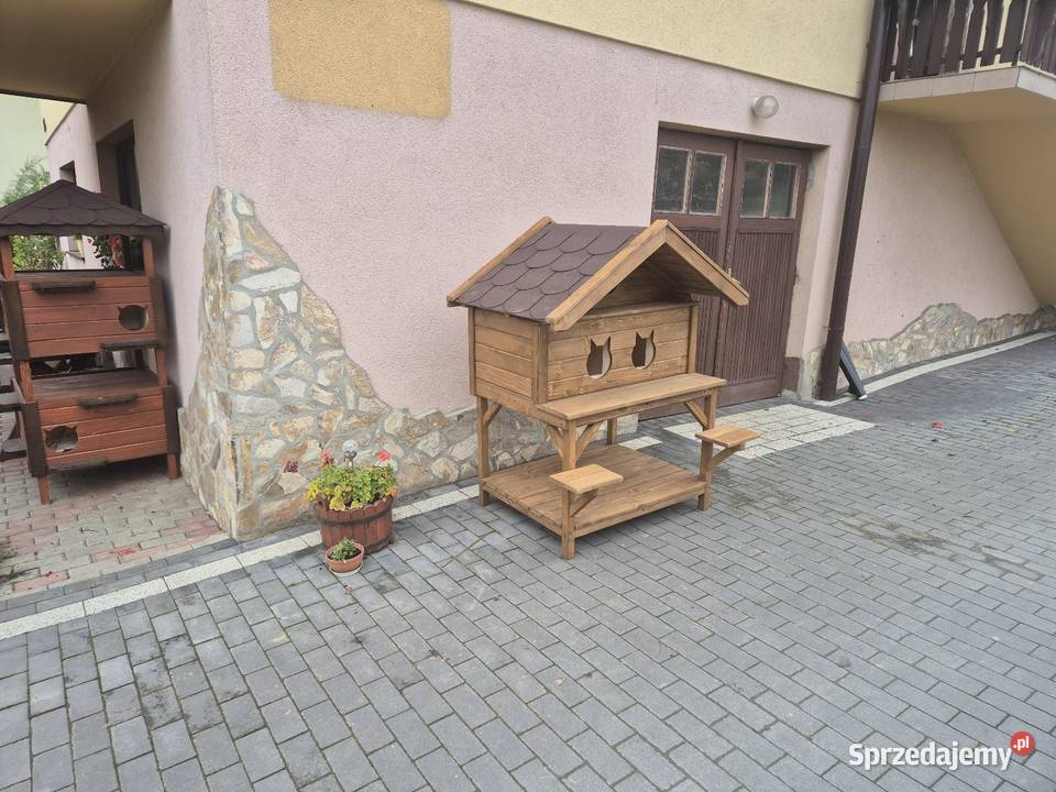 Buda kotów Jordanów