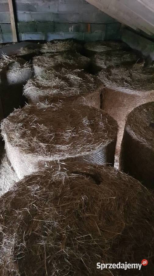 Siano w balotach 120 2025 wiązane siatką łódzkie Wartkowice