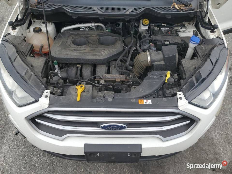 2018 FORD ECOSPORT SE SUV śląskie Częstochowa