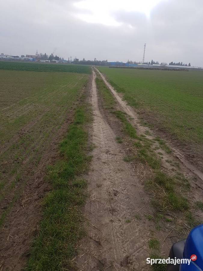 Ziemia rolna ostrorg powiat Szamotuły 4500m2 Ostroróg