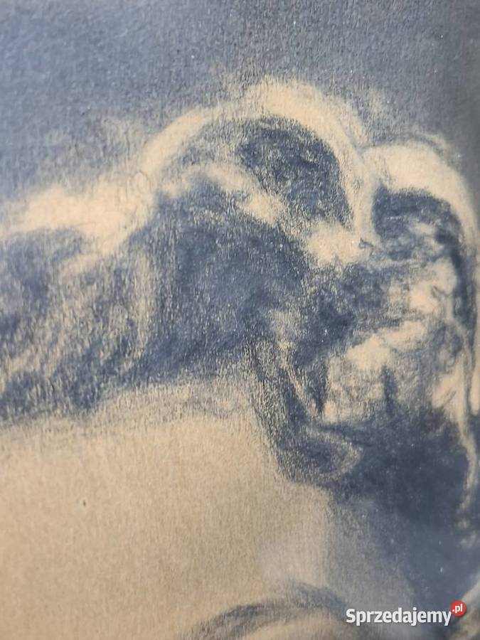 Oryginalny Portret Kobiecy 1947 Krawczyk Vintage Kraków sprzedam