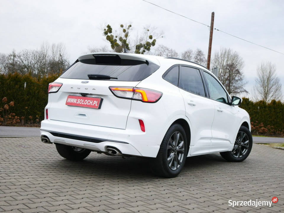 Ford Kuga 15 EcoBlue 120 Eu6 StLine Automat 8b Goczałkowice-Zdrój sprzedam