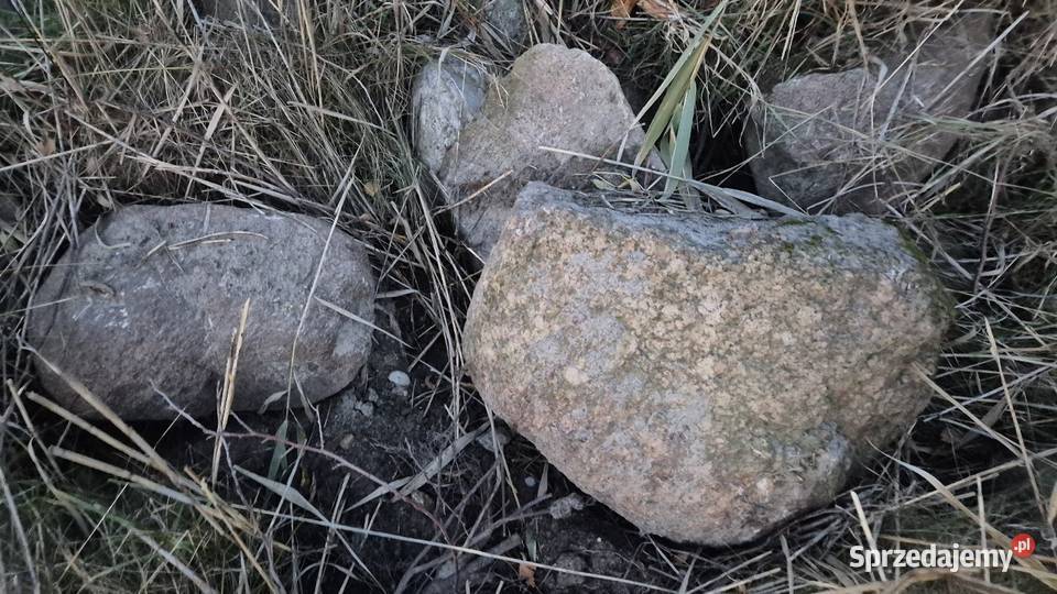 Kamień polny Skrybicze sprzedam