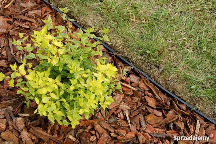 Obrzeże ogrodowe Border 78mm