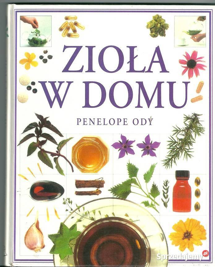 Zioła w domu P Ody zioła ziołolecznictwo rośliny