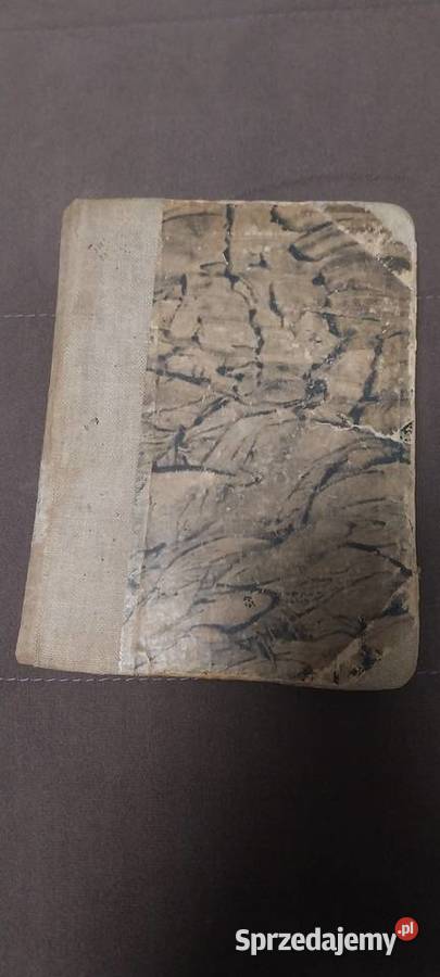 Robinzon Amerykański