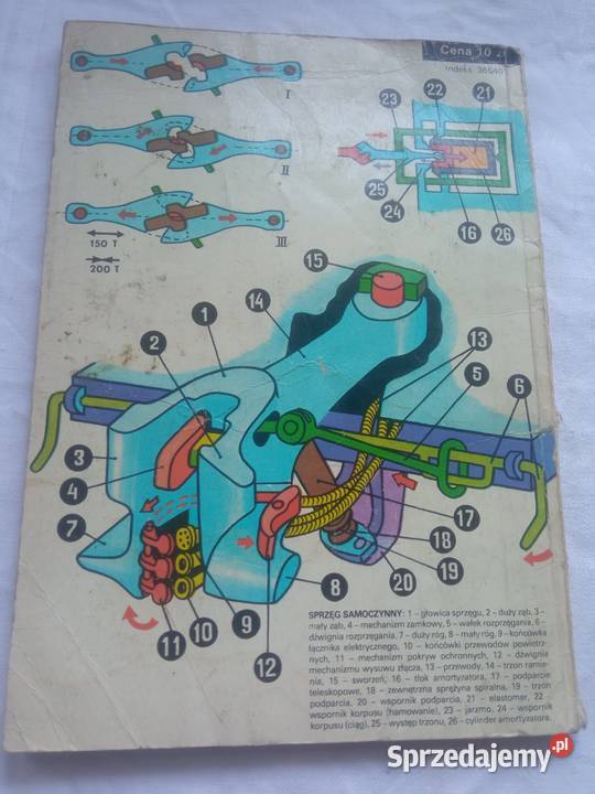 Młody Technik 91977 Książki naukowe i popularnonaukowe Szczecin sprzedam