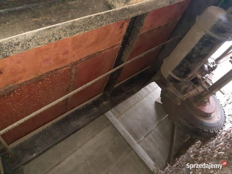 Autosan D50 sztywna zarejestrowana