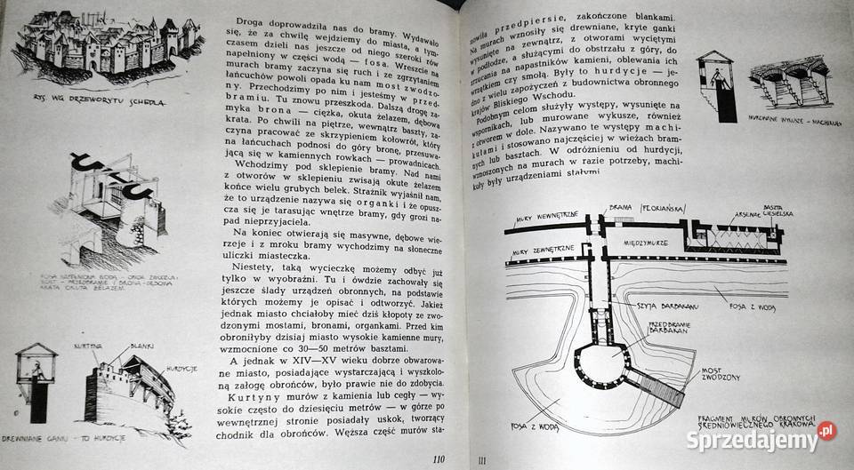 1000 tajemnic architektury Przemysław Trzeciak