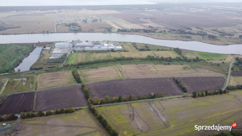 GdańskWiślinka 919 ha S7 Działki Przemysłowe UP asfalt Wiślinka