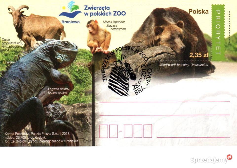 Całostki karty pocztowe 2013r Konin