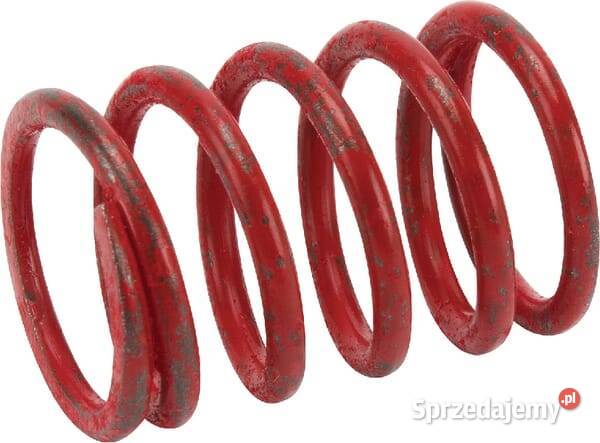 Sprężyna zaworu 691597 sprzedam