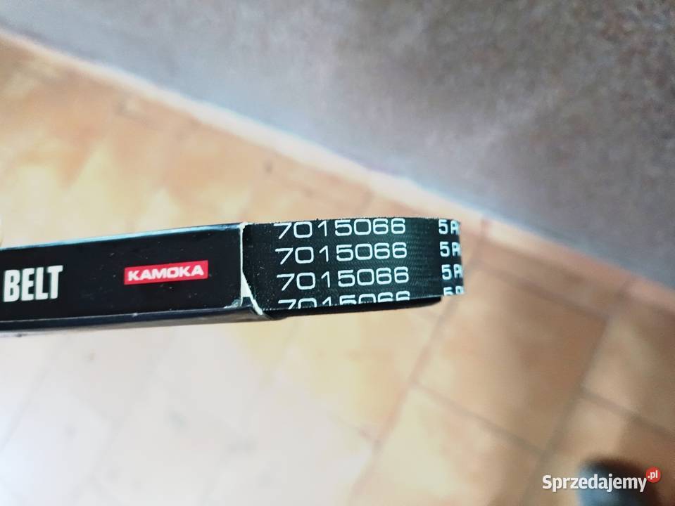 Kamoka 7015066 Pasek klinowy wielorowkowy Wilamów-Parcela