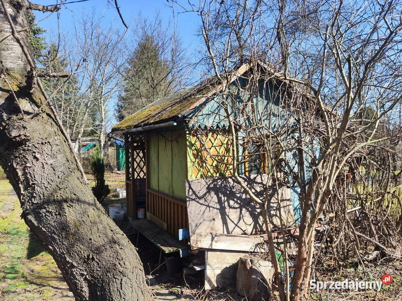 Sprzedam działka ROD Rzeszów Jachowicza 3 ar rekreacyjna