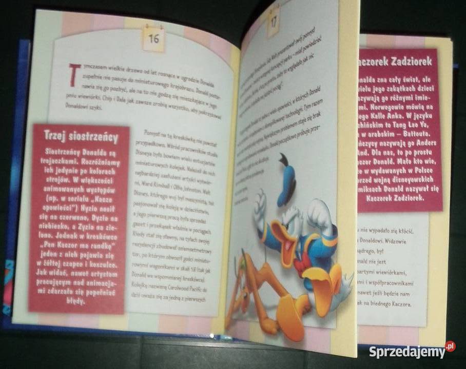 16x DVD Disney Magiczna kolekcja 2005 Kaczor Rzeszów sprzedam