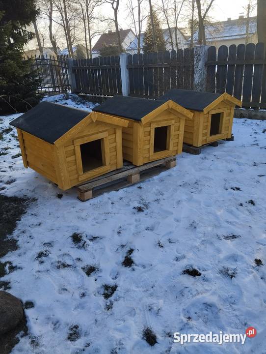 Buda psa opolskie Grodziec