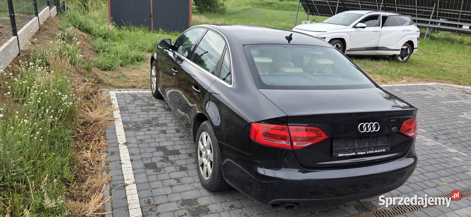 Audi b8 Tuchola
