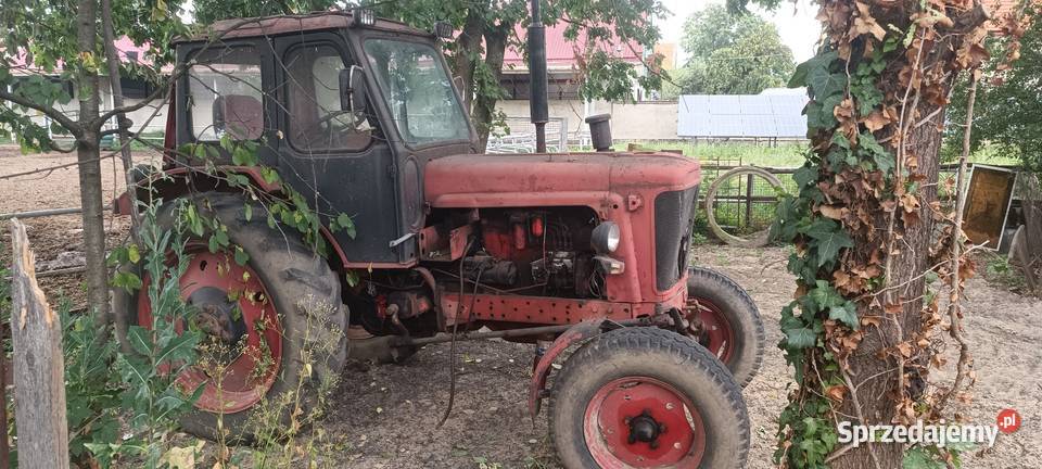Jumz 6 białoruś ciągnik rolniczy