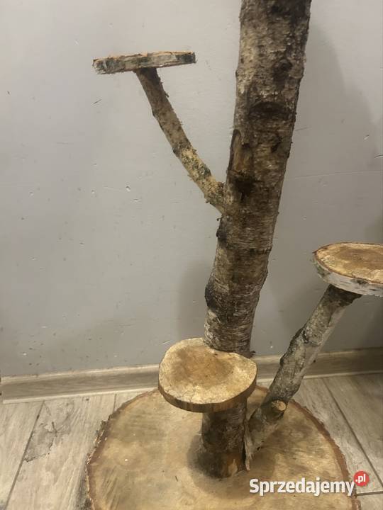 Kwietnik z brzozy Kwietniki wielkopolskie