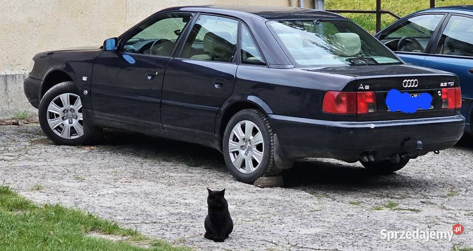 Audi A6 C4 25 TDI KLASYK PASJONATA AUTO GODNE Białogard