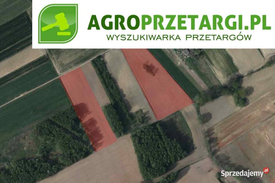 Dzierżawa 287 ha gruntu rolnego Racibórz