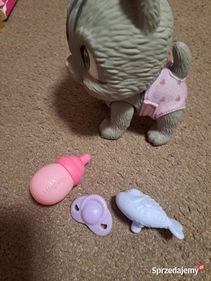 Kotek pampers petz Sosnowiec sprzedam