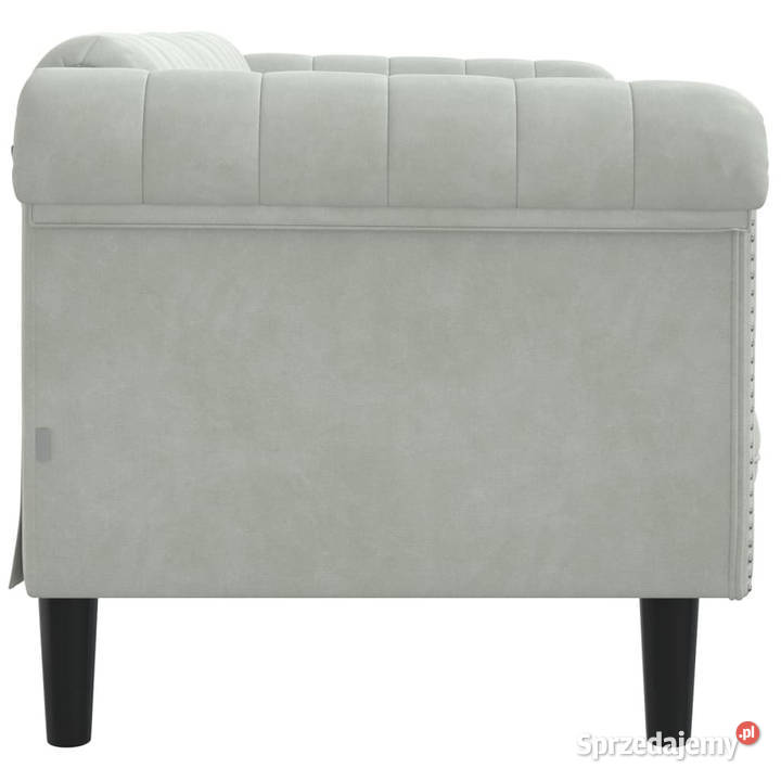 Sofa dwuosobowa jasnoszara aksamit WM372575 Warszawa