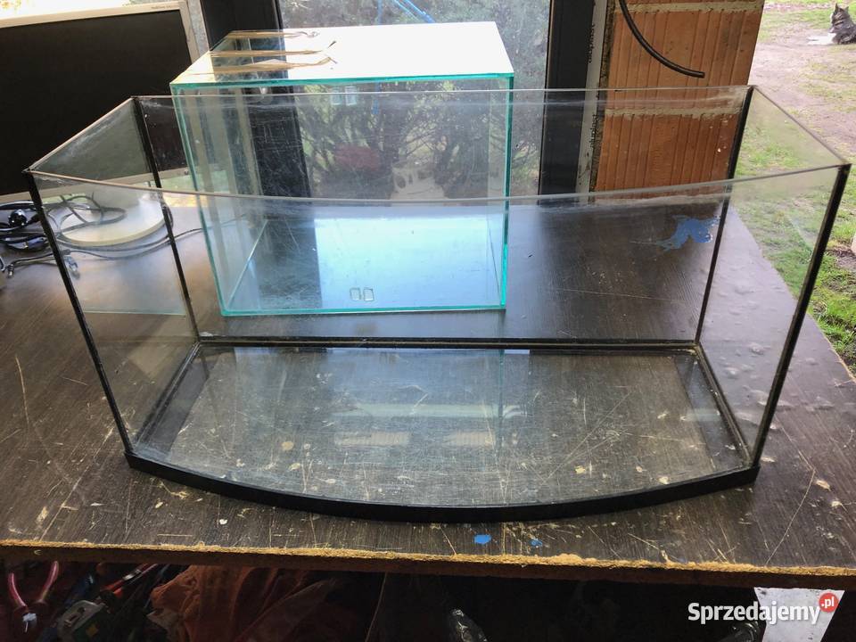 Akwarium Aquael 80 x 35 x 40 Akwarystyka Justynów