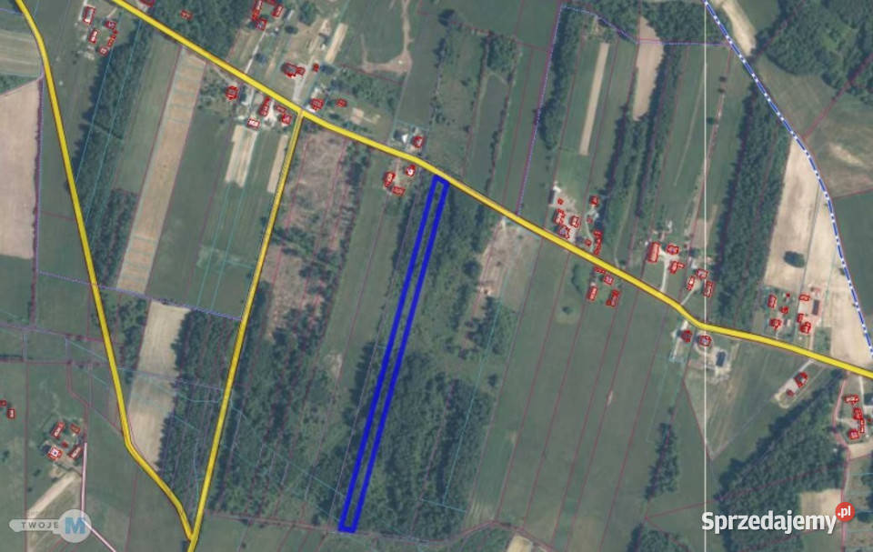 sprzedaży gruntu Raków 9100m2 sprzedam