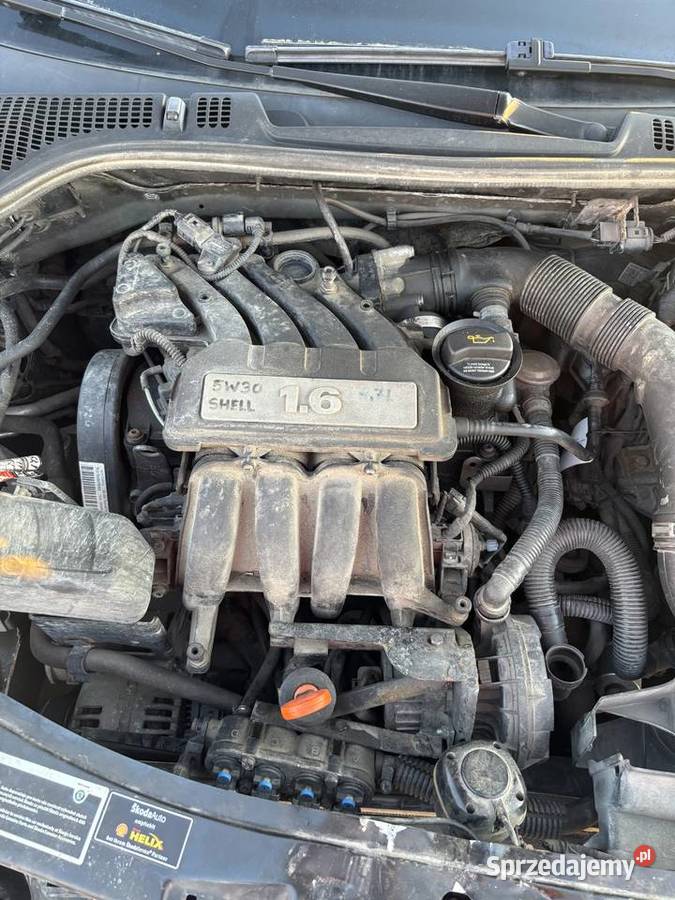 Skoda Octavia II 16 MPI 102 LPG 2007 199 czujnik parkowania Cichawa