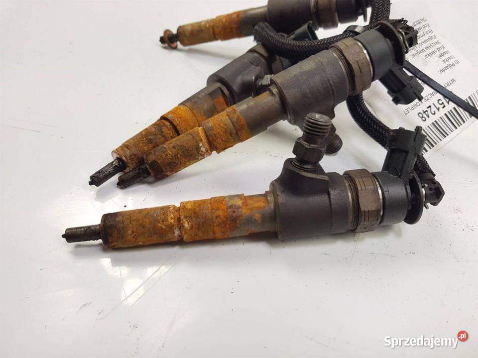 WTRYSKIWACZE KOMPLET CITROEN C3 0445110252 Lipno