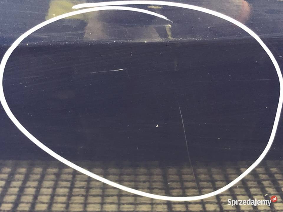 DRZWI PRAWY PRZÓD RENAULT MODUS Minivan