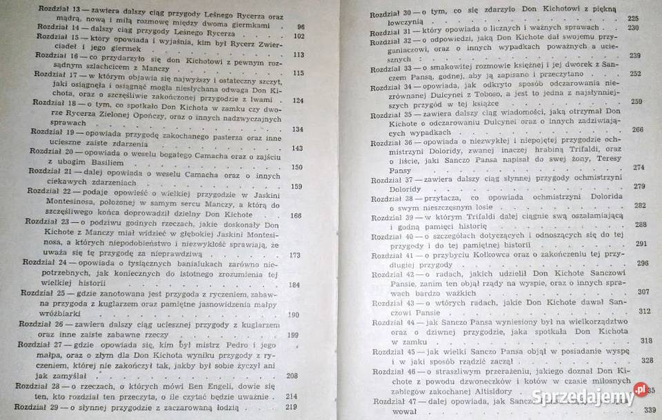 Przemyślny szlachcic Don Kichot z Manczy Miguel Chełm