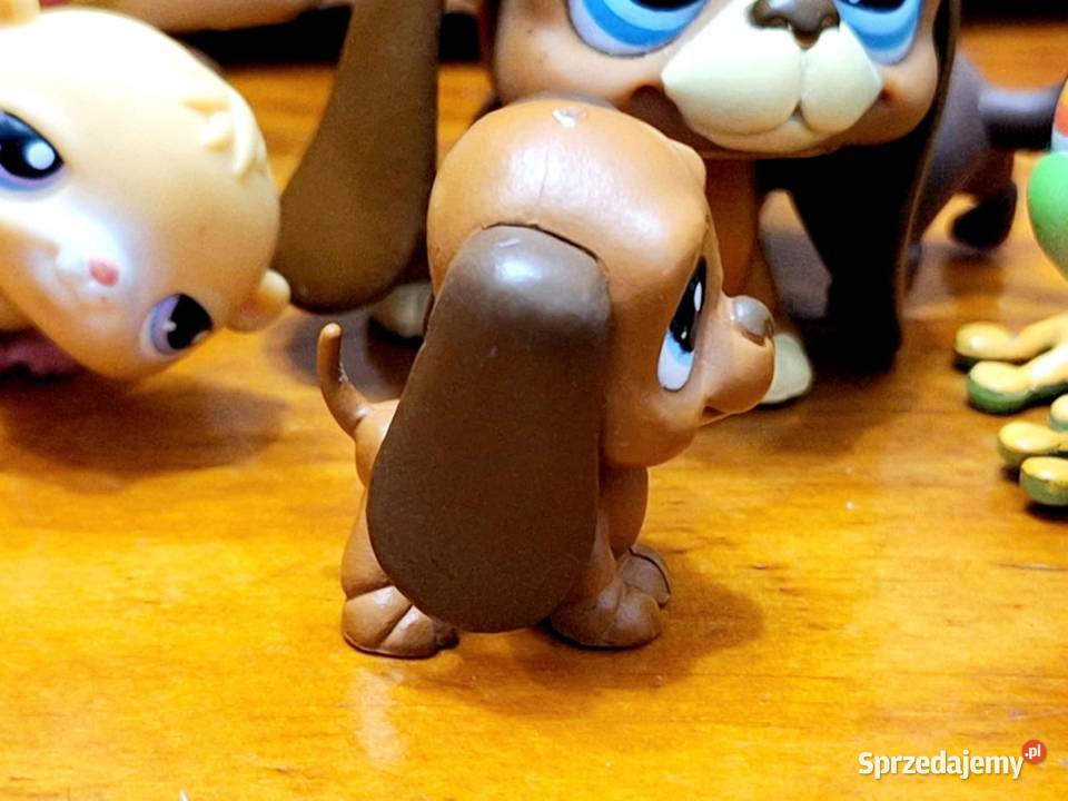 Pies basset Littlest Pet Shop warmińsko-mazurskie Braniewo