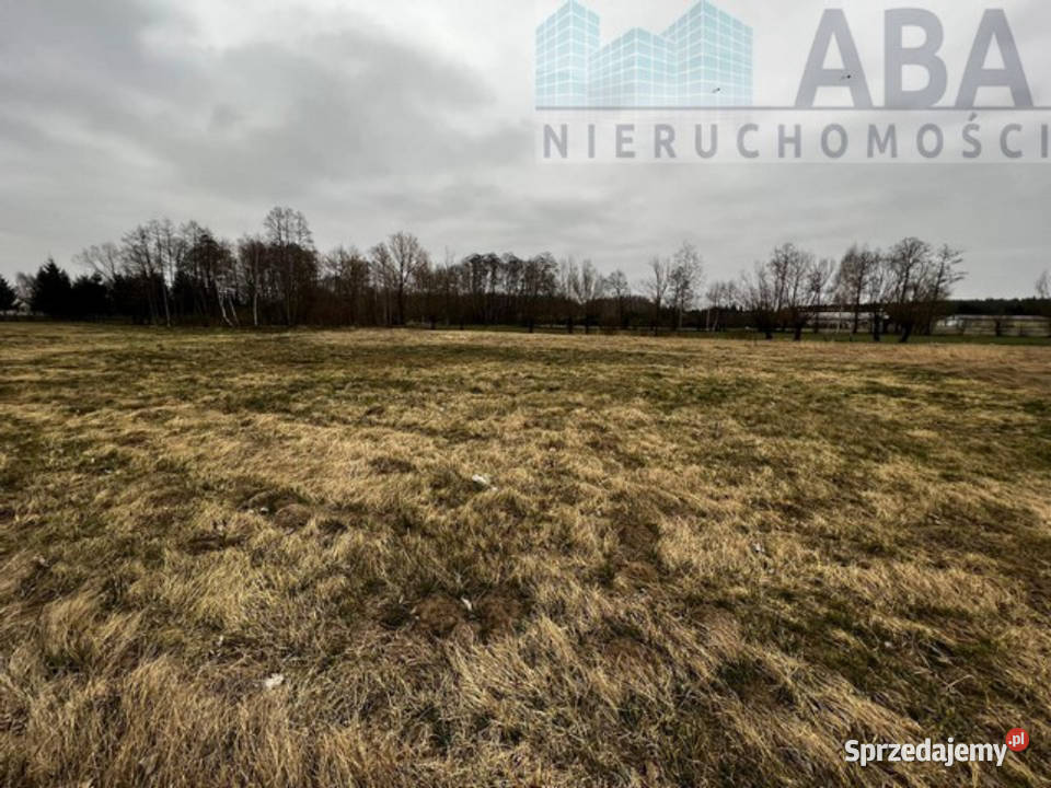 Działka na sprzedaż w miejscowości Dębicz gm 1400m2 wielkopolskie