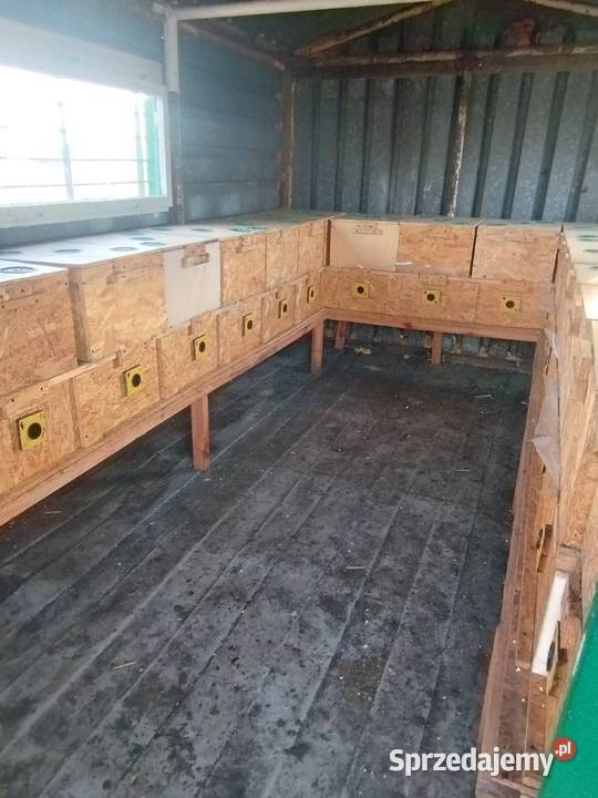 Barak do pszczół barakowóz Kędzierzyn-Koźle