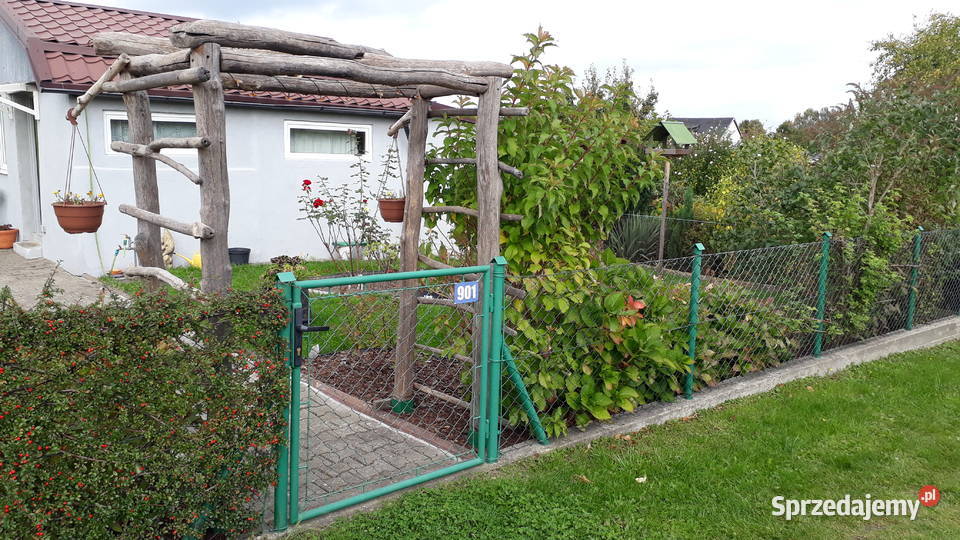 Działka ROD im Mikołaja Reja w Gdyni Zielona 2 pomorskie Gdynia
