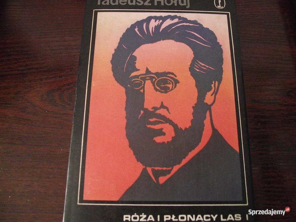RÓŻA I PŁONĄCY LAS Tadeusz Hołuj Proza i poezja wielkopolskie sprzedam