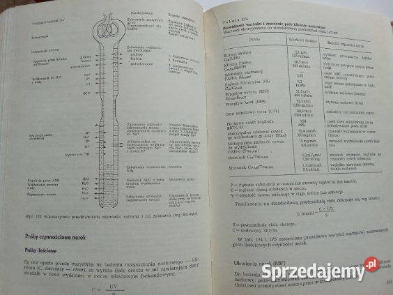 Normy i kliniczna interpretacja badań Łódź
