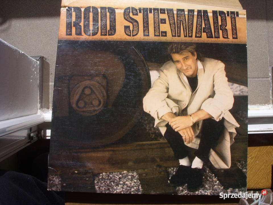 Winyl lp Rock ROD STEWARTHERE TO ETERNITY Warner Wołów