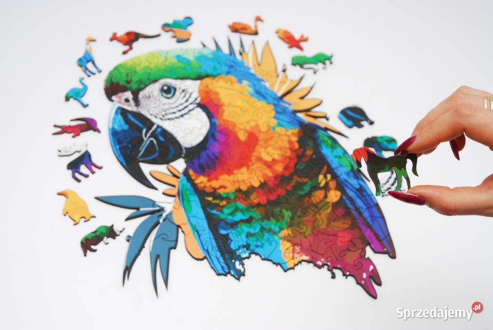 Puzzle Drewniane Premium EKO Układanka PAPUGA Łódź