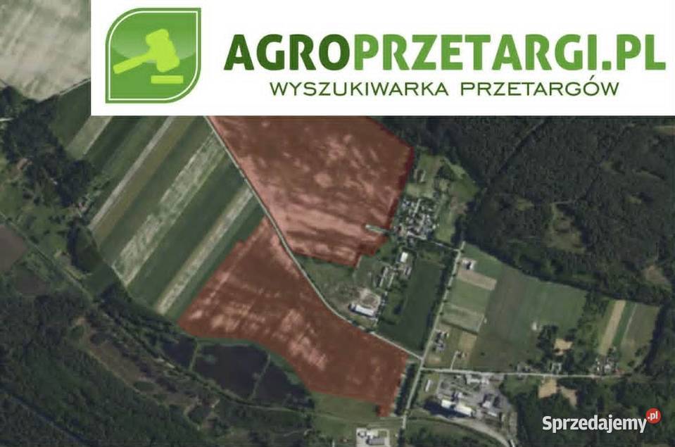 Dzierżawa 6234 ha gruntu rolnego lubelskie Tomaszów Lubelski