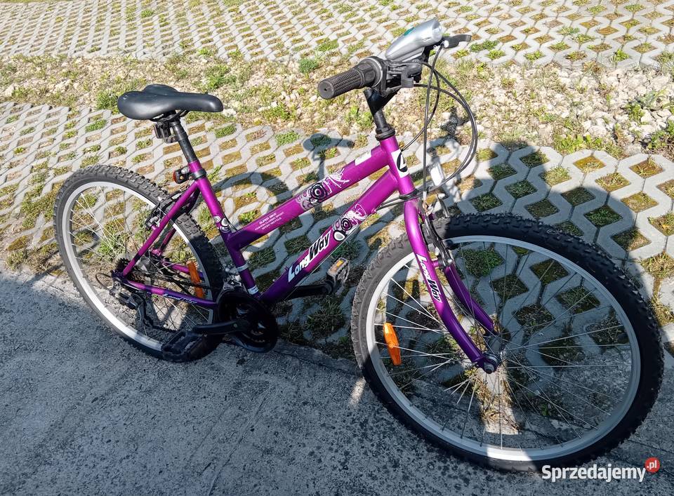 Sprzedam rower damski śląskie Będzin