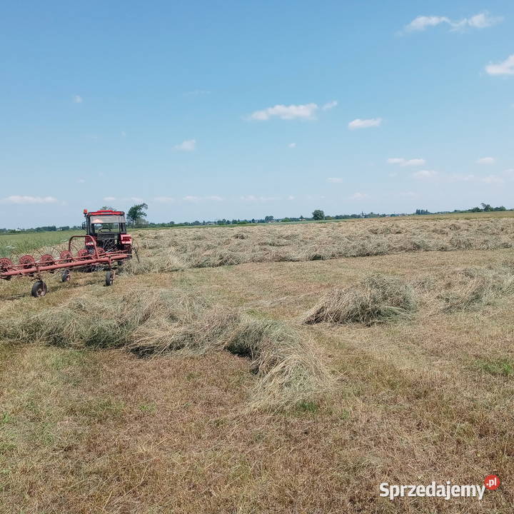 Siano baloty 120 Zabawa