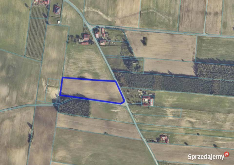4 działki budowlane z WZ Koszary gm Sompolno Sprzedaż