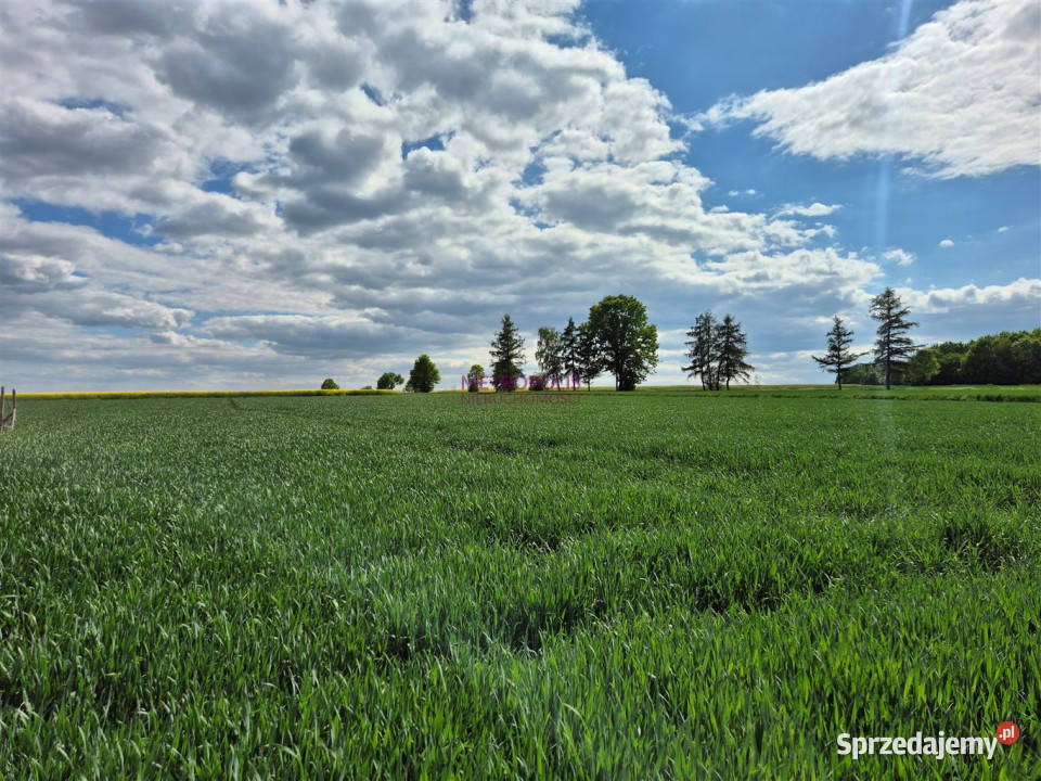 Działka Gliwice 3125m śląskie