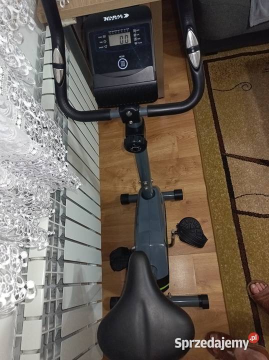 Rower stacjonarny Bęsia