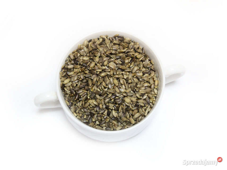 Ostropest ziarno 1000g Brzozów