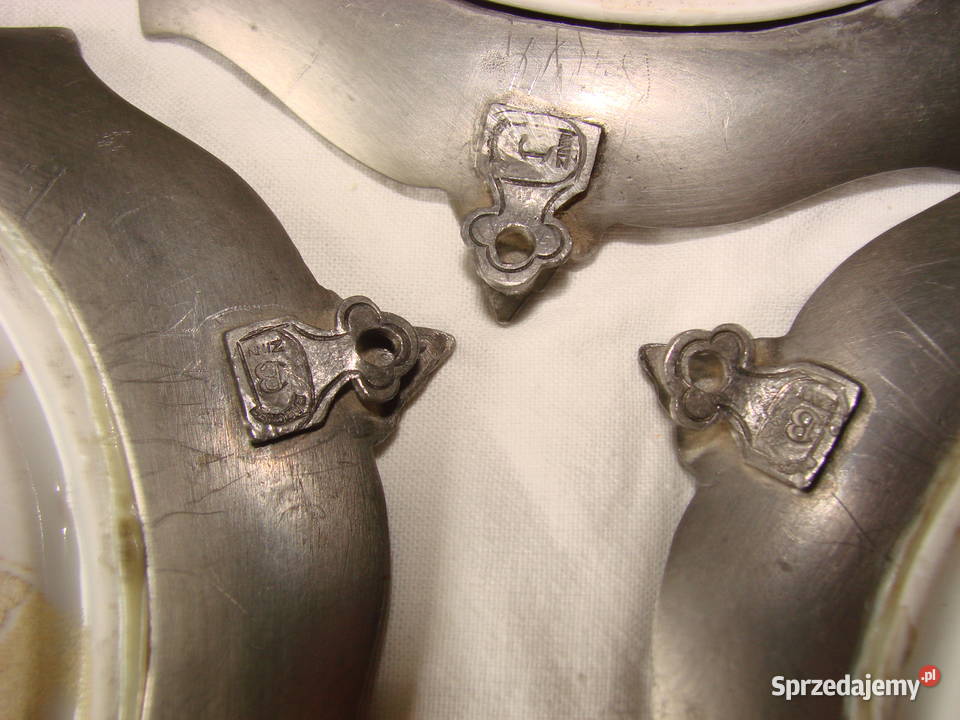 Schwarzenhammer Porzellan obrazki z ptakami Pruszcz Gdański